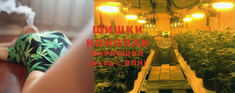 Бошки марихуана White Widow  как найти закладки  Алупка 